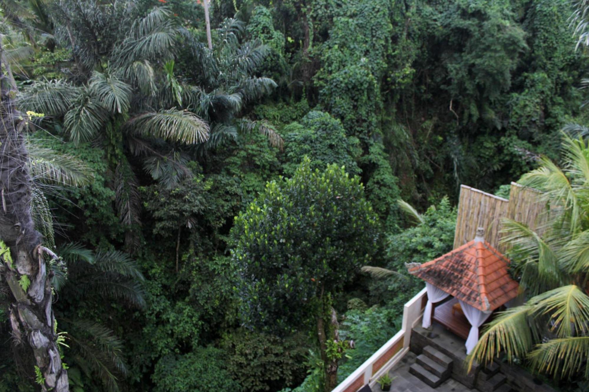 Hanaka Riverside Ubud Exterior foto